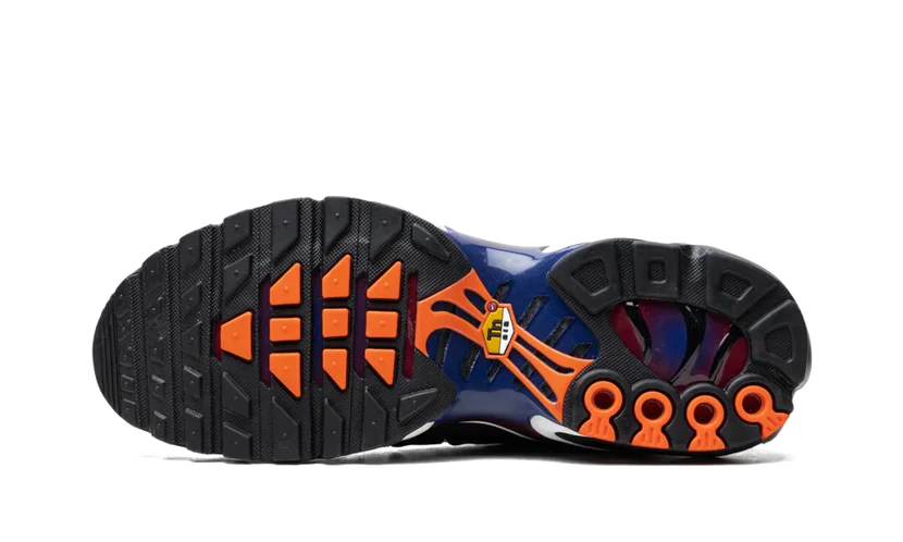 NIKE AIR MAX PLUS PATTA 'FC BARCELONA'