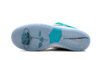 NIKE SB DUNK LOW APRIL SKATEBOARDS
