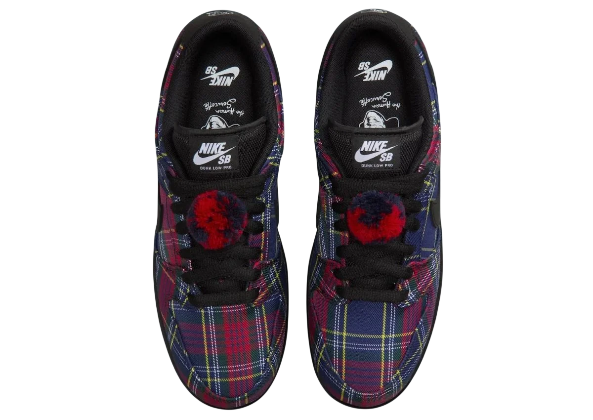 NIKE SB DUNK LOW PRO NARDWUAR (2025)