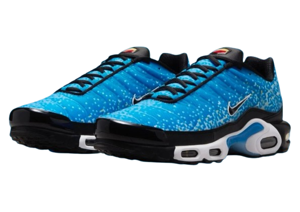 NIKE AIR MAX PLUS 'NAPLES' 40