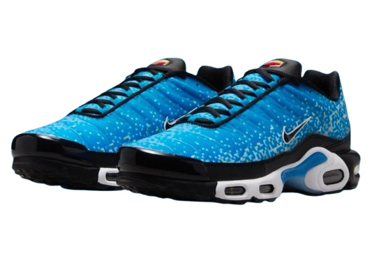 NIKE AIR MAX PLUS 'NAPLES' 40