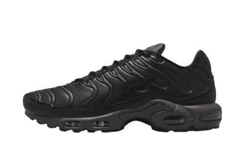 NIKE AIR MAX PLUS PREMIUM 'BLACK TEA/PETRA BROWN' 40