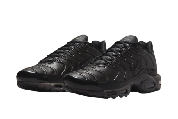 NIKE AIR MAX PLUS PREMIUM 'BLACK TEA/PETRA BROWN' 40